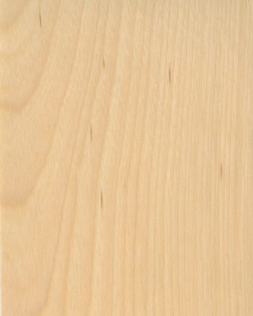 CP-ZN- Birch Veneer (Flat Grain) wallcovering, Japan, ref 2724966