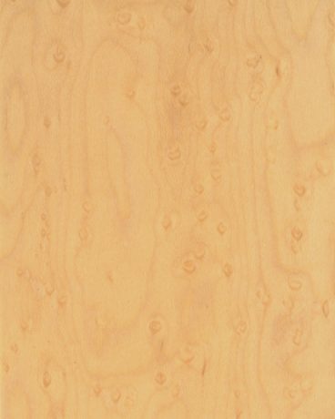 CP-ZN- Birds Eye Maple Veneer (Curly Grain) wallcovering, Japan, ref 2724850