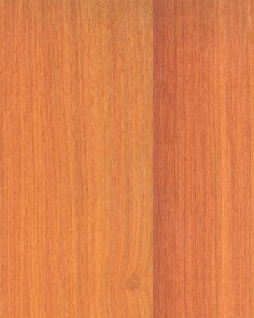 CP-ZN- Chinese Quince Veneer (Straight Grain) wallcovering, Japan, ref 2725405