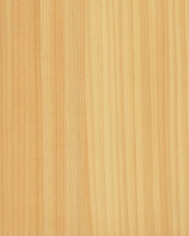 CP-ZN- Cypress Veneer (Straight Grain) wallcovering, Japan, ref 2724981
