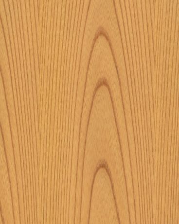 CP-ZN- Zelkowa Veneer (Flat Grain) wallcovering, Japan, ref 2724980