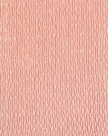 CP-IK- MA4338 Col. Pink fabric, Japan, ref 282735