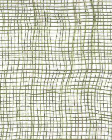 HA- Sinamay Col. Green wallcovering, ref 2719494