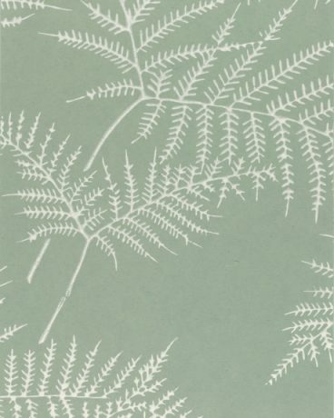 Wallcovering, Japan, ref CP-KKM-Oshinobu Col. H556-Kira