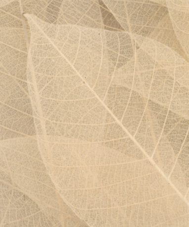 TF- CT19/P HD Print wallcovering, ref 2715572