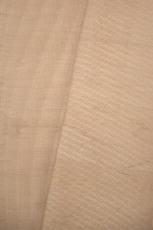 Curly Maple, Japan, ref Tatinoya x FJ Hakimian