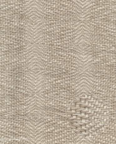 Cotton