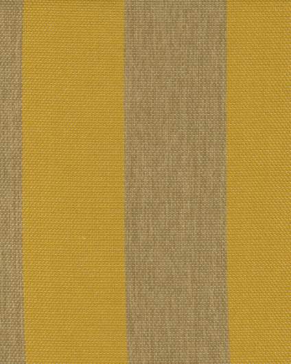 DV- Big Stripe Col. 03