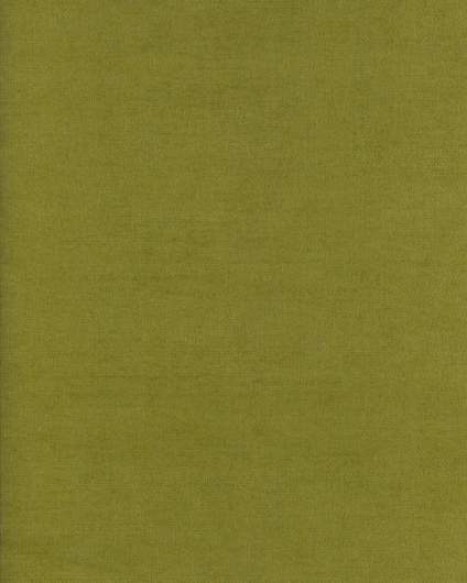 DV- Floriante Col. 37