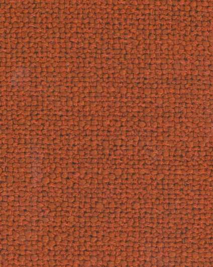 GL-Diva 1 Col. 202-Bruciato