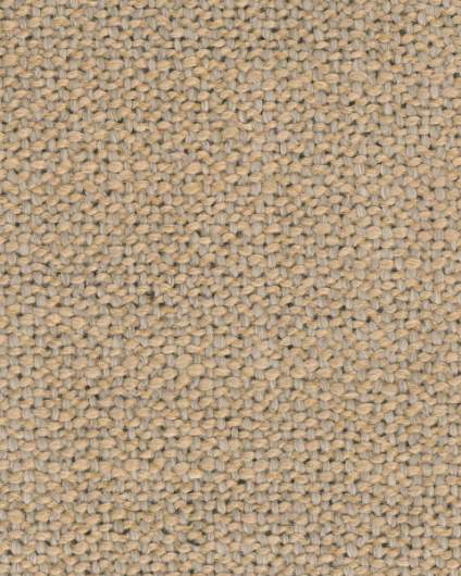 GL-Diva 1 Col. 203-Nebbia