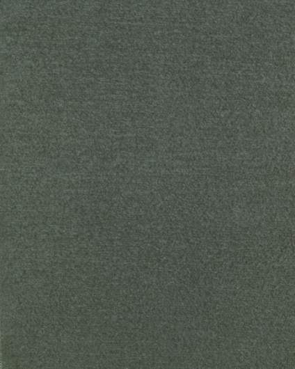 LU- Caluni Col. 31