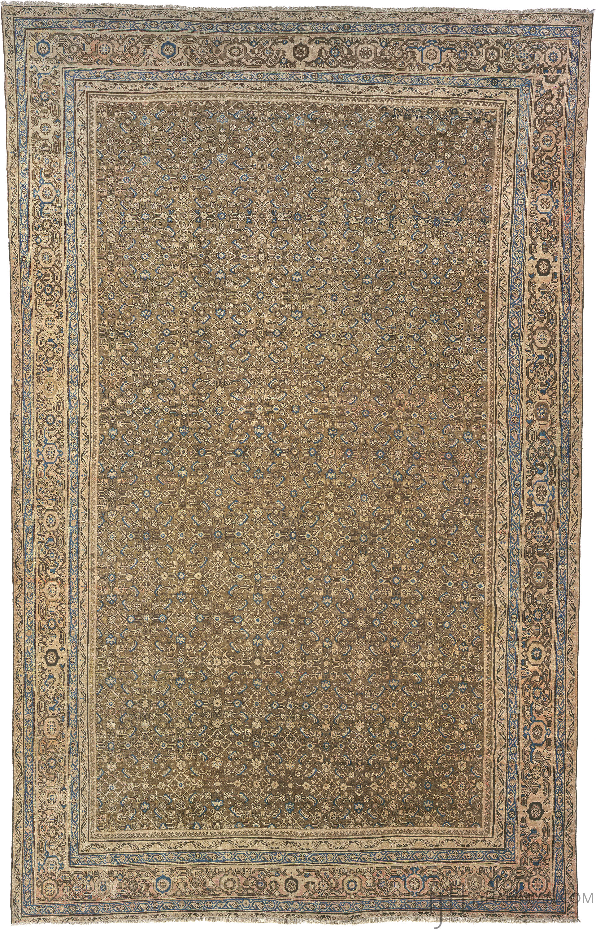 06150 Sultanabad Rug | FJ Hakimian